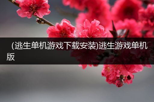 （逃生单机游戏下载安装)逃生游戏单机版