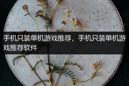 手机只装单机游戏推荐，手机只装单机游戏推荐软件