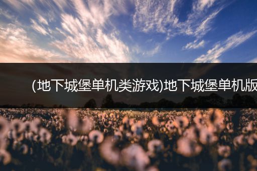 （地下城堡单机类游戏)地下城堡单机版