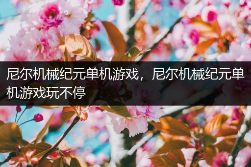 尼尔机械纪元单机游戏，尼尔机械纪元单机游戏玩不停