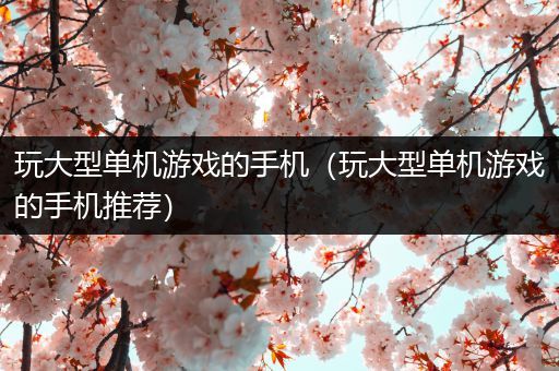 玩大型单机游戏的手机（玩大型单机游戏的手机推荐）