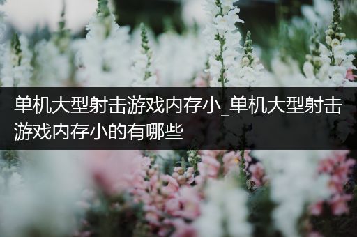 单机大型射击游戏内存小_单机大型射击游戏内存小的有哪些