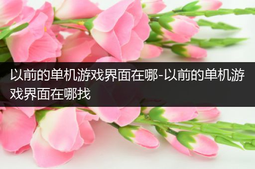 以前的单机游戏界面在哪-以前的单机游戏界面在哪找