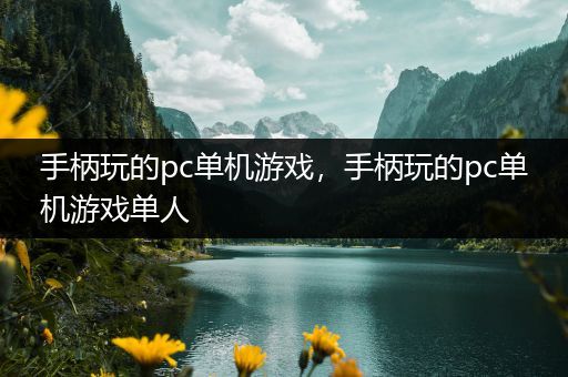 手柄玩的pc单机游戏，手柄玩的pc单机游戏单人