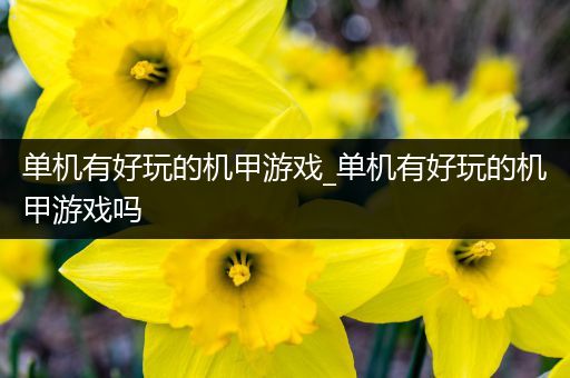 单机有好玩的机甲游戏_单机有好玩的机甲游戏吗