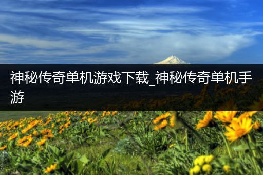 神秘传奇单机游戏下载_神秘传奇单机手游