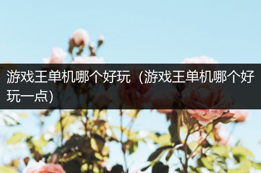 游戏王单机哪个好玩（游戏王单机哪个好玩一点）