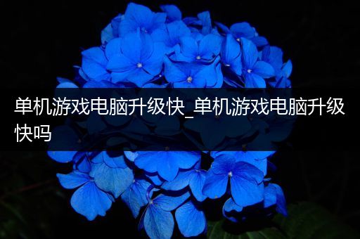 单机游戏电脑升级快_单机游戏电脑升级快吗