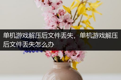 单机游戏解压后文件丢失，单机游戏解压后文件丢失怎么办
