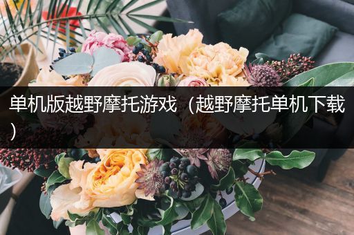 单机版越野摩托游戏（越野摩托单机下载）