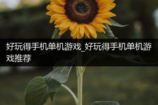 好玩得手机单机游戏_好玩得手机单机游戏推荐