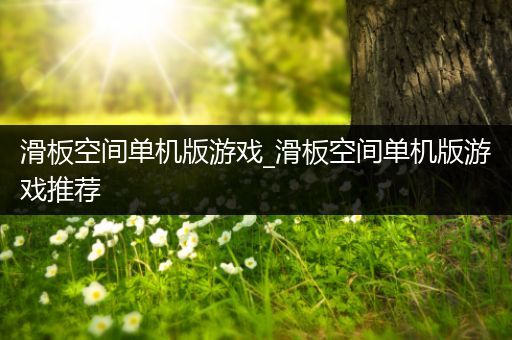 滑板空间单机版游戏_滑板空间单机版游戏推荐