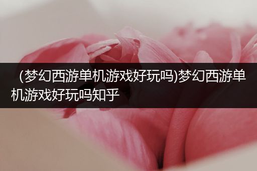 （梦幻西游单机游戏好玩吗)梦幻西游单机游戏好玩吗知乎