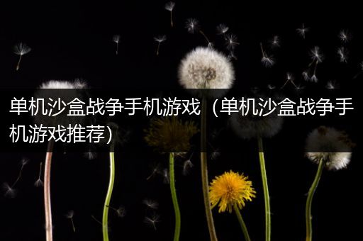 单机沙盒战争手机游戏（单机沙盒战争手机游戏推荐）