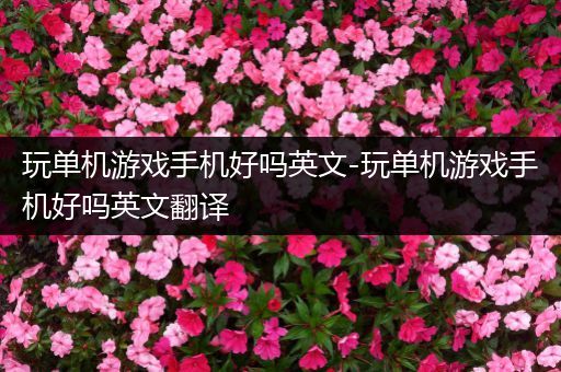 玩单机游戏手机好吗英文-玩单机游戏手机好吗英文翻译