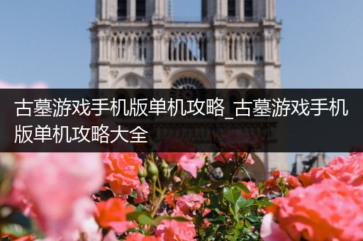 古墓游戏手机版单机攻略_古墓游戏手机版单机攻略大全