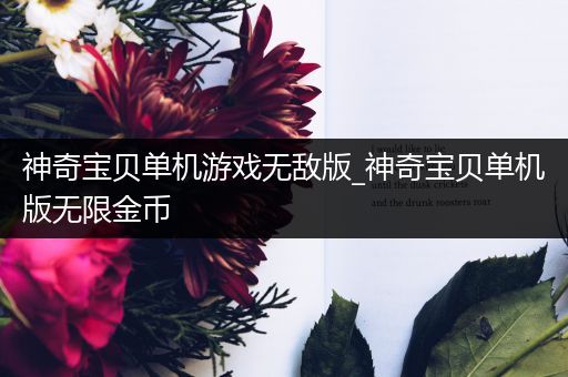 神奇宝贝单机游戏无敌版_神奇宝贝单机版无限金币