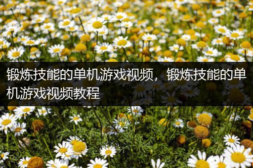 锻炼技能的单机游戏视频，锻炼技能的单机游戏视频教程
