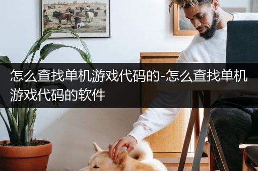 怎么查找单机游戏代码的-怎么查找单机游戏代码的软件