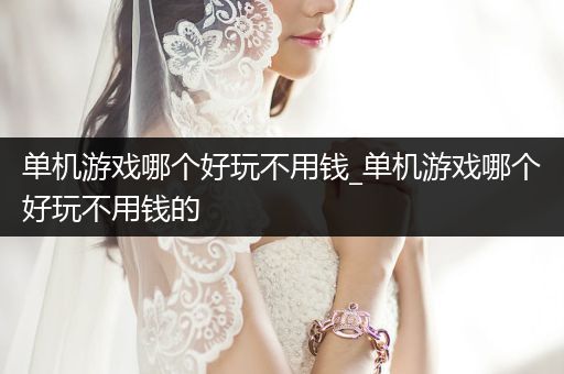 单机游戏哪个好玩不用钱_单机游戏哪个好玩不用钱的