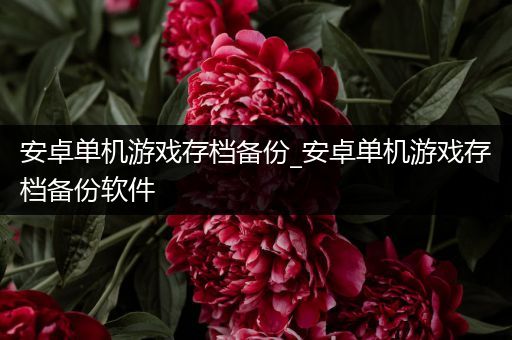 安卓单机游戏存档备份_安卓单机游戏存档备份软件