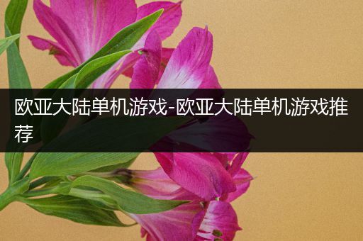欧亚大陆单机游戏-欧亚大陆单机游戏推荐