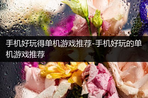 手机好玩得单机游戏推荐-手机好玩的单机游戏推荐