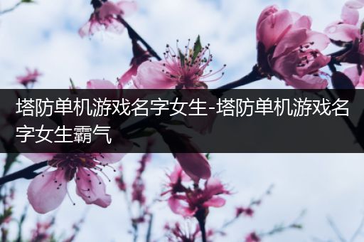 塔防单机游戏名字女生-塔防单机游戏名字女生霸气