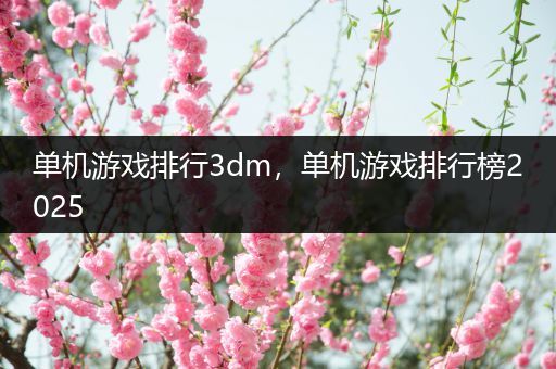 单机游戏排行3dm，单机游戏排行榜2025