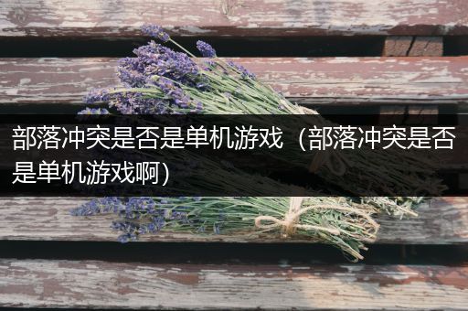 部落冲突是否是单机游戏（部落冲突是否是单机游戏啊）