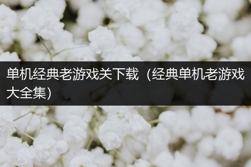 单机经典老游戏关下载（经典单机老游戏大全集）