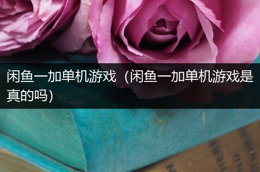 闲鱼一加单机游戏（闲鱼一加单机游戏是真的吗）