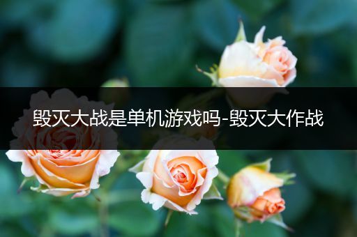 毁灭大战是单机游戏吗-毁灭大作战