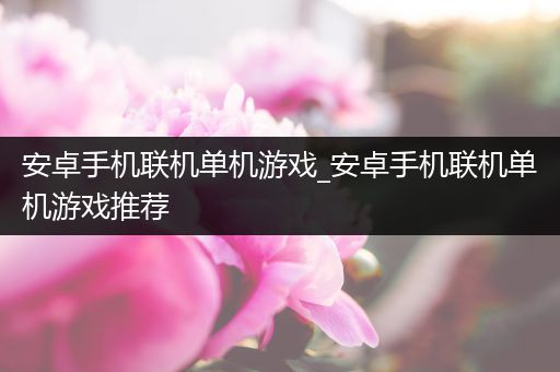 安卓手机联机单机游戏_安卓手机联机单机游戏推荐