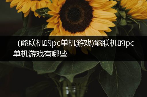 （能联机的pc单机游戏)能联机的pc单机游戏有哪些