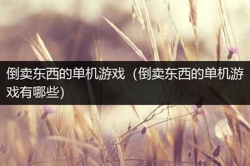 倒卖东西的单机游戏（倒卖东西的单机游戏有哪些）