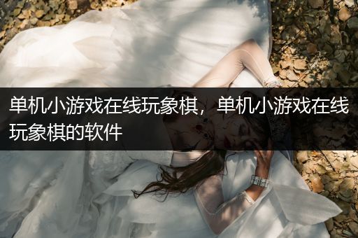 单机小游戏在线玩象棋，单机小游戏在线玩象棋的软件