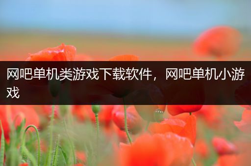 网吧单机类游戏下载软件，网吧单机小游戏