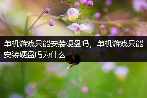 单机游戏只能安装硬盘吗，单机游戏只能安装硬盘吗为什么