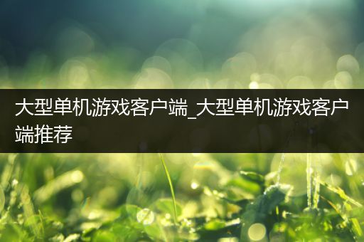 大型单机游戏客户端_大型单机游戏客户端推荐