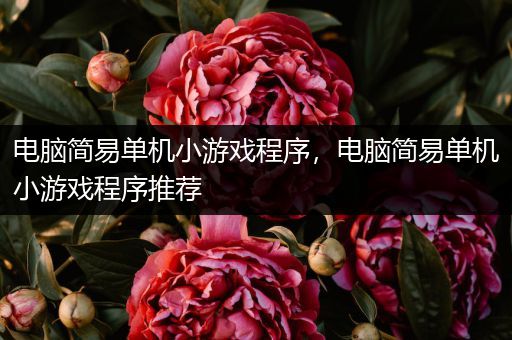 电脑简易单机小游戏程序，电脑简易单机小游戏程序推荐