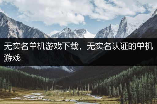 无实名单机游戏下载，无实名认证的单机游戏