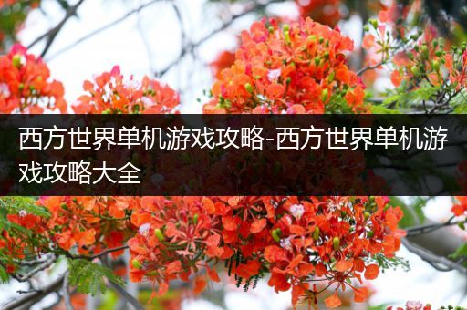 西方世界单机游戏攻略-西方世界单机游戏攻略大全