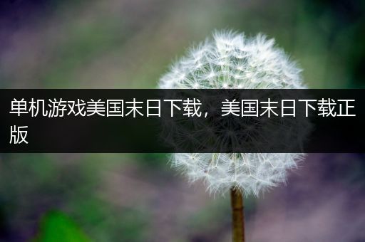 单机游戏美国末日下载，美国末日下载正版