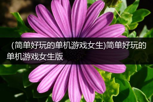 （简单好玩的单机游戏女生)简单好玩的单机游戏女生版