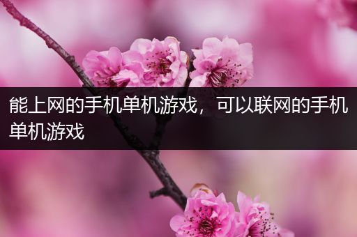 能上网的手机单机游戏，可以联网的手机单机游戏