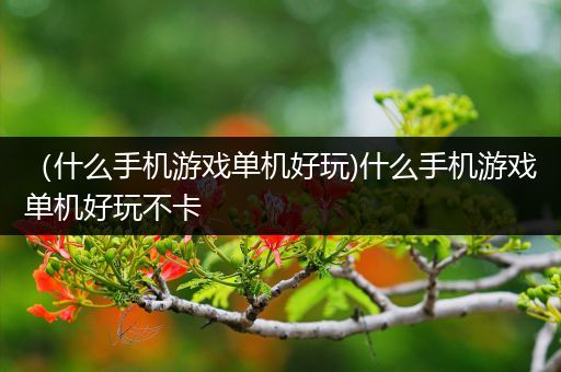 （什么手机游戏单机好玩)什么手机游戏单机好玩不卡