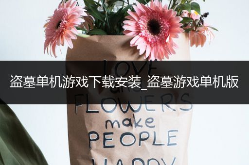 盗墓单机游戏下载安装_盗墓游戏单机版