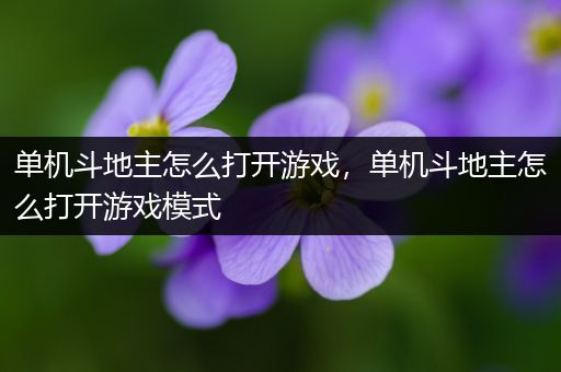 单机斗地主怎么打开游戏，单机斗地主怎么打开游戏模式