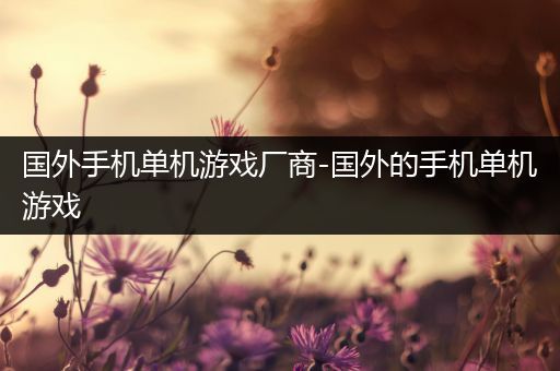 国外手机单机游戏厂商-国外的手机单机游戏